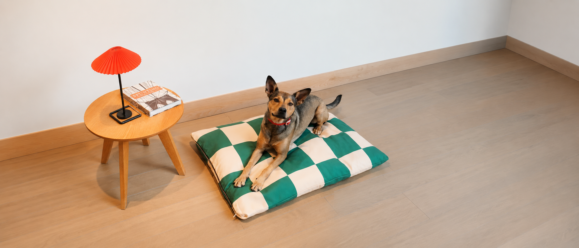 Comfortable dog beds for everyday rest
